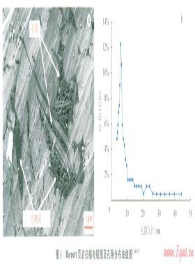 頁巖納米孔隙氣體流動的滑脫效應