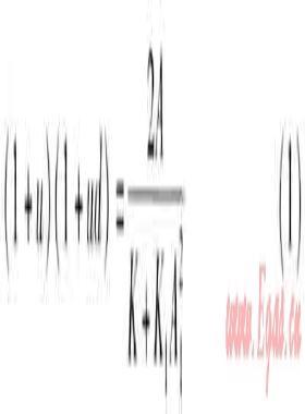 燃燒區負壓對大氣式燃燒器調節特性的影響