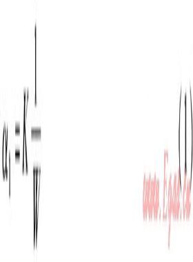 燃氣互換時大氣式燃燒器一次空氣系數的變化