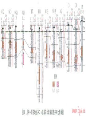四川盆地中二疊統熱水白云巖成因及其分布
