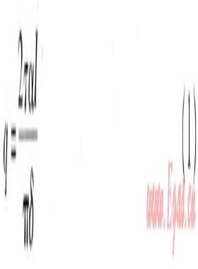 真空管太陽能集熱系統溫度場、速度場模擬