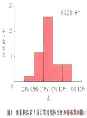 陸相頁巖氣的地質研究進展及亟待解決的問題