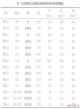 珠江口盆地白云—荔灣深水區油氣成藏條件及勘探方向