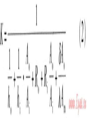 螺旋管傳熱系數實驗研究和溫度場數值模擬