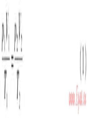 膜式燃氣表的溫度壓力補償