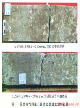 蘇里格氣田東二區致密砂巖儲層裂縫與含氣性的關系