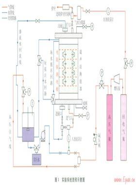 天然氣水合物三維成藏物模實驗系統的構建與檢驗