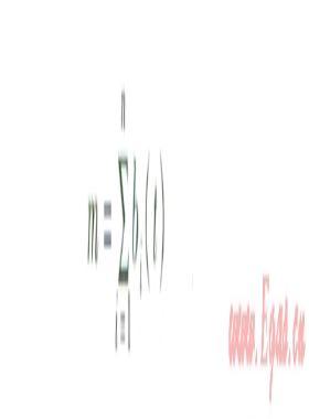 基于蟻群算法的環狀燃氣管網布置優化研究