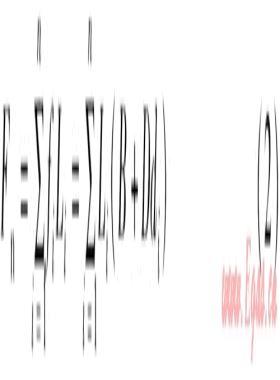 基于Q學習蟻群算法的熱網優化方法